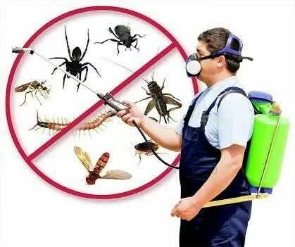 General Pest Control
